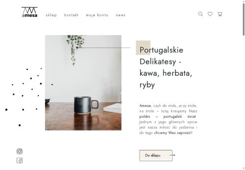 amesa.pl
