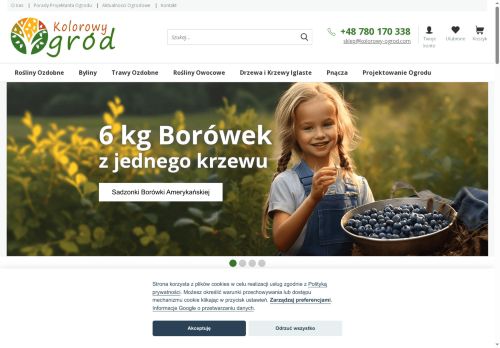 kolorowy-ogrod.com