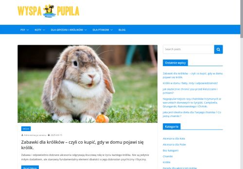 wyspapupila.pl