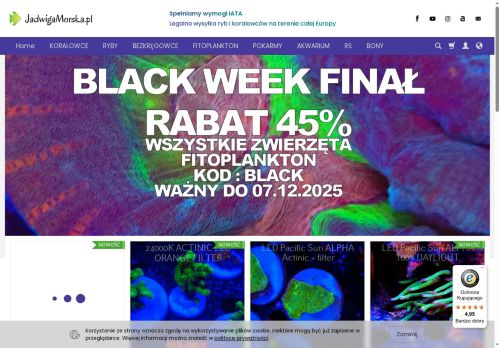 jadwigamorska.pl