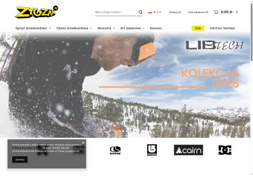 zygzaksnow.pl