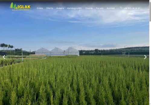 iglak.net.pl