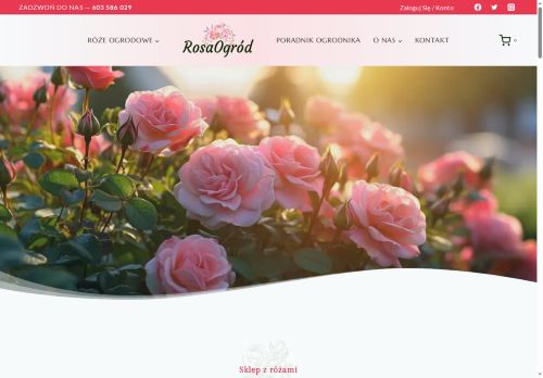 rosaogrod.pl