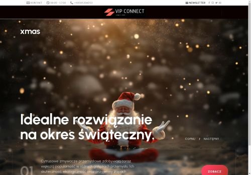 vipconnect.pl